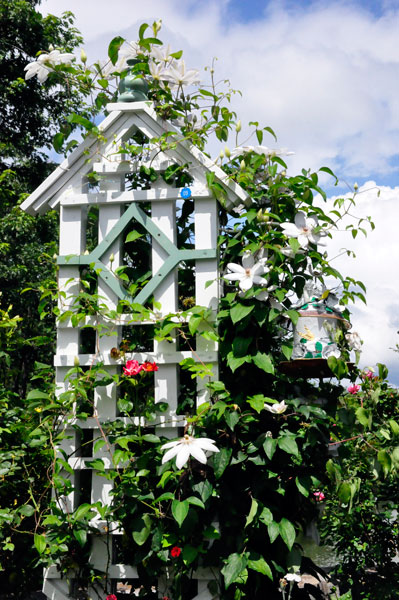bird house lattice